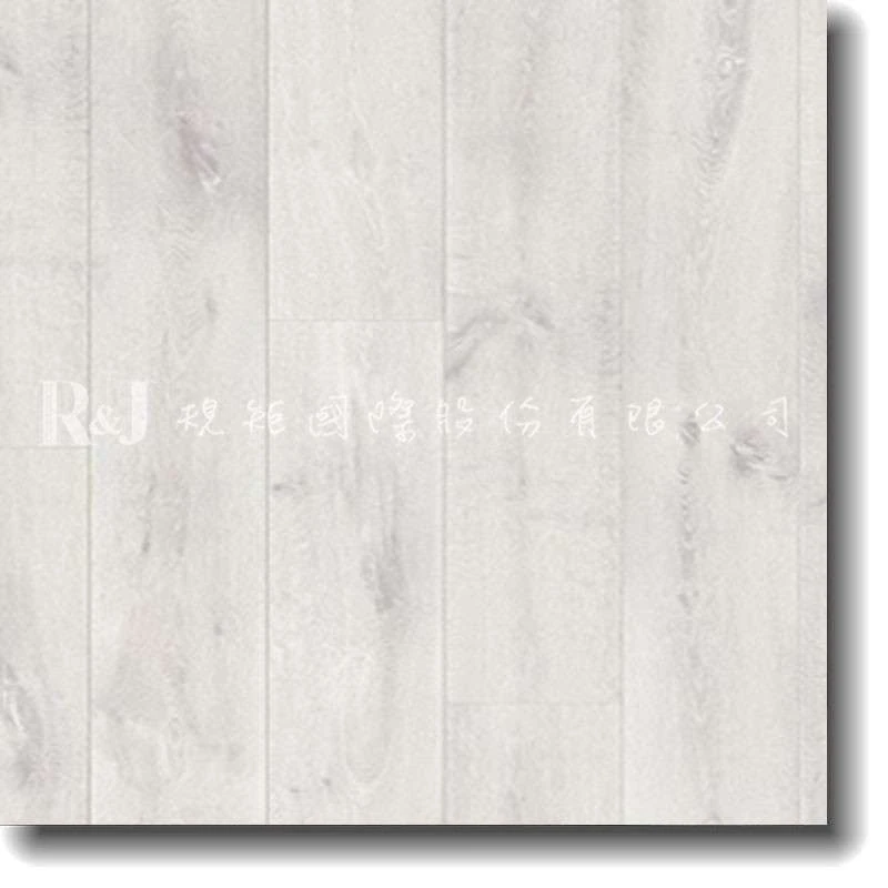 深冬白橡 L0323-01764