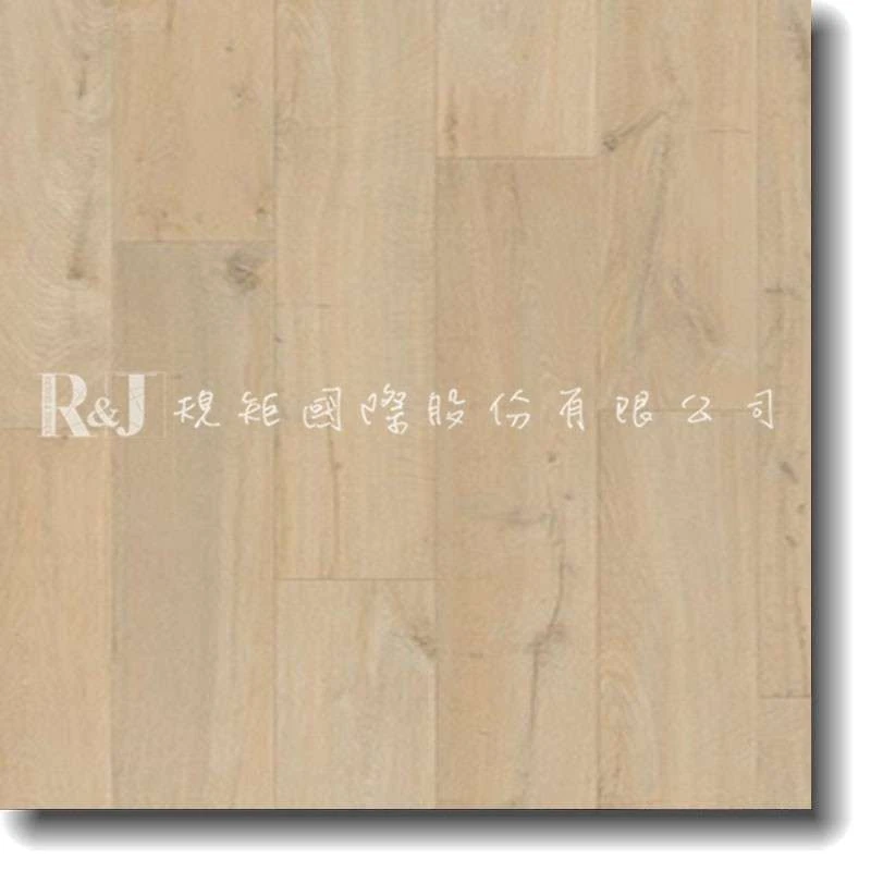 海岸橡木 L0331-03374