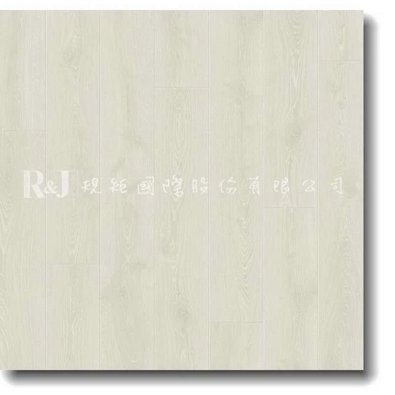 北方白橡 L0331-03866