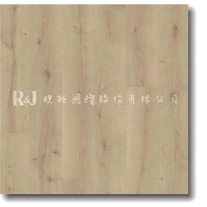 海濱淺橡 L0334-03571