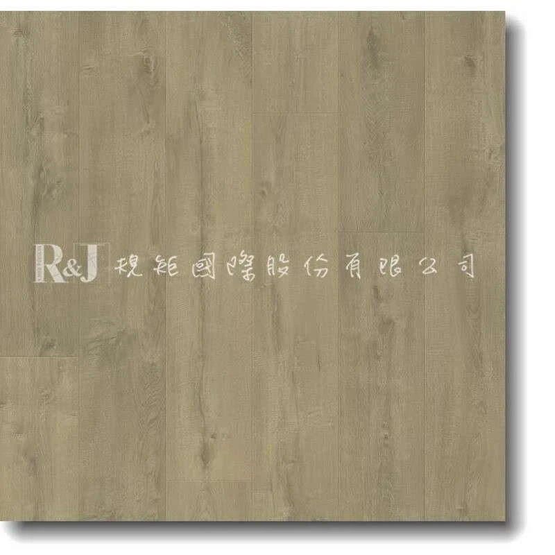 海濱小鎮橡木 L0334-03870