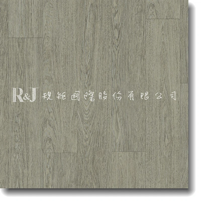 瓷灰橡木 V2107-40015